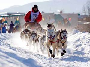 iditarod51